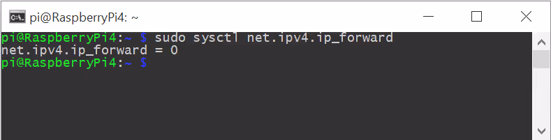 IPv4 forwarding disabled