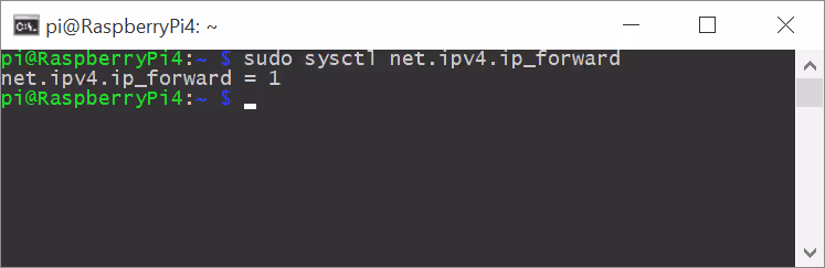 IPv4 forwarding enabled