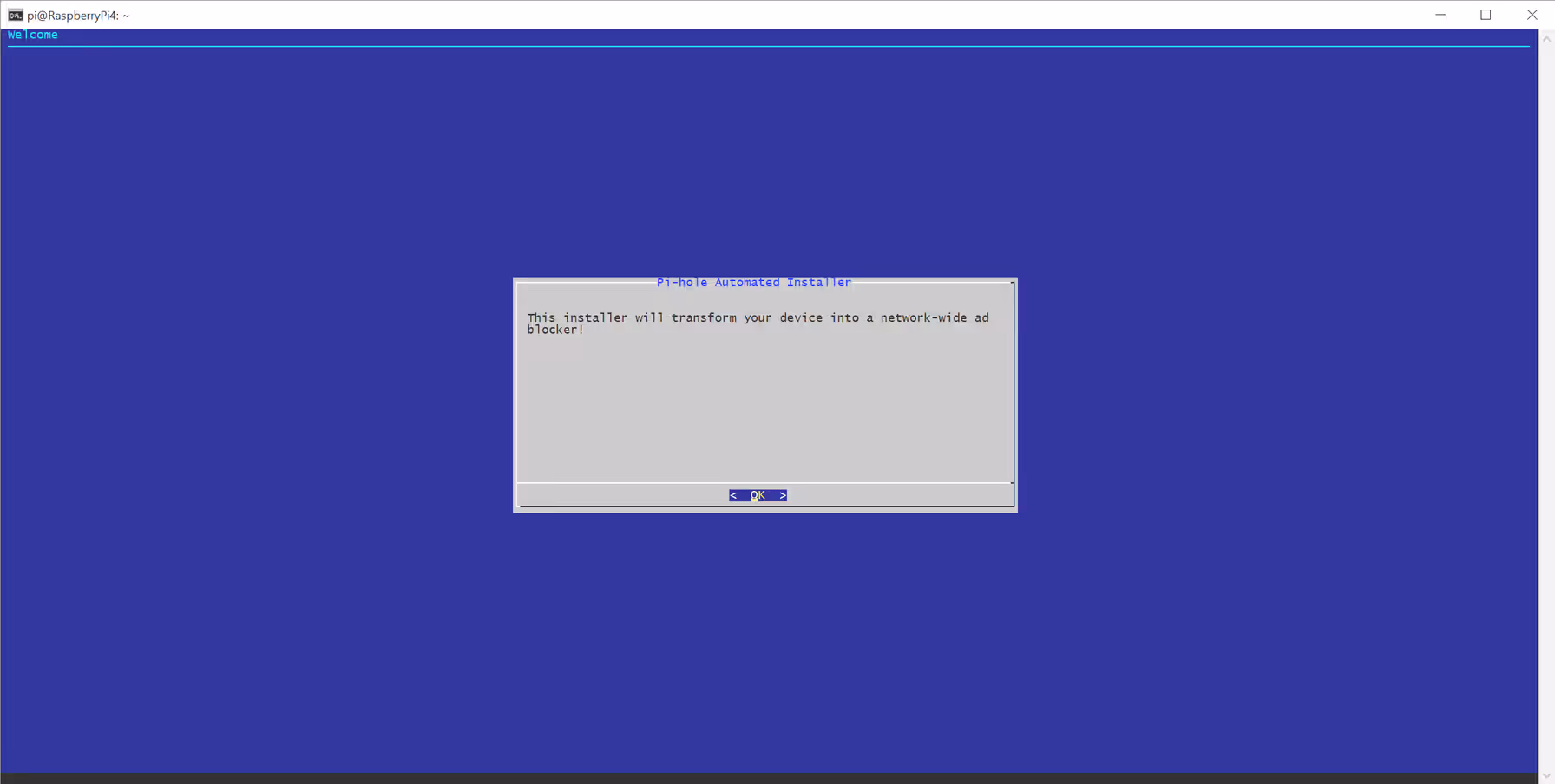 Pi-hole installer welcome screen